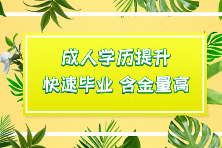 專升本錄取一般情況下是每年進行幾次