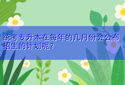 統(tǒng)考專升本在每年的幾月份會公布招生的計劃呢？