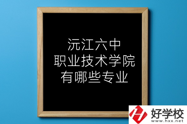 湖南沅江六中職業(yè)技術(shù)學院有哪些專業(yè)？