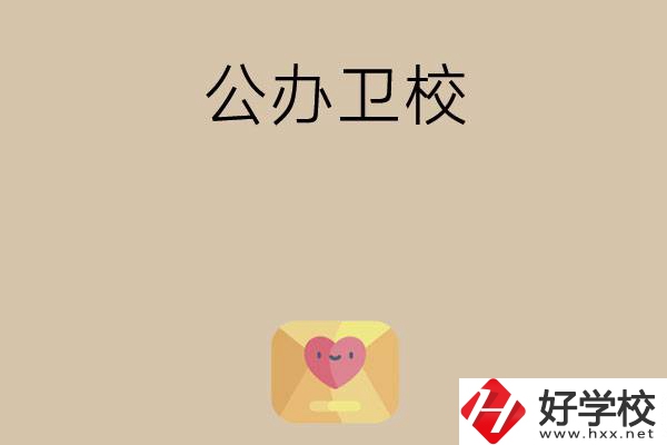 想在湖南上公辦衛(wèi)校？這所學(xué)校值得一看