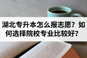 湖北省專升本怎么報志愿？如何選擇填報院校專業(yè)比較好？