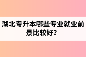 湖北專升本哪些專業(yè)就業(yè)前景比較好？