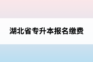 湖北省專升本報名繳費