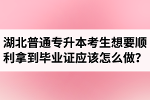 湖北普通專升本考生想要順利拿到畢業(yè)證應(yīng)該怎么做？