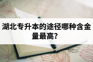 湖北普通專升本英譯漢段落翻譯分析應(yīng)該怎么做？