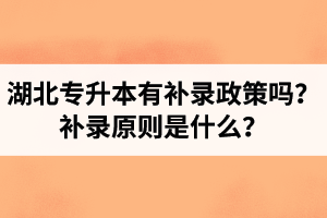 湖北專升本有補(bǔ)錄政策嗎？補(bǔ)錄原則是什么？