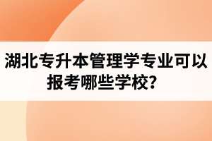 湖北專升本管理學(xué)專業(yè)可以報(bào)考哪些學(xué)校？屬于管理學(xué)的專業(yè)有哪些？