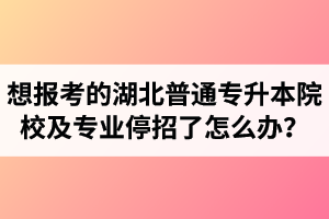 想報(bào)考的湖北普通專升本院校及專業(yè)停招了怎么辦？