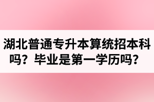 湖北普通專升本算統(tǒng)招本科嗎？專升本學歷是第一學歷嗎？