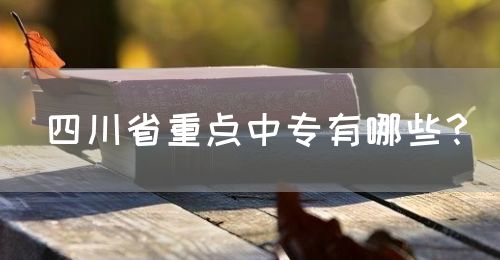 四川省重點(diǎn)中專有哪些？(圖1)