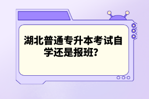 湖北普通專升本考試自學(xué)還是報(bào)班？