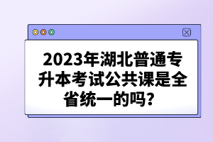 2023年湖北普通專升本考試公共課是全省統(tǒng)一的嗎？