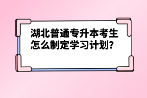 湖北普通專升本考生怎么制定學習計劃？