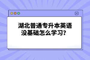 湖北普通專升本英語沒基礎(chǔ)怎么學(xué)習(xí)？