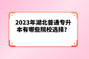 2023年湖北普通專升本有哪些院校選擇？