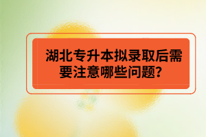 湖北專升本擬錄取后需要注意哪些問題？