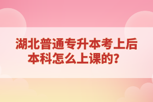 湖北普通專升本考上后本科怎么上課的？