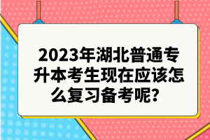 2023年湖北普通專升本考生現(xiàn)在應(yīng)該怎么復(fù)習(xí)備考呢？