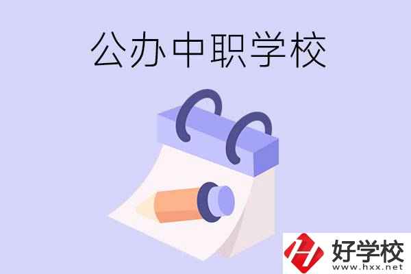 湖南公辦中職學(xué)校有哪些辦學(xué)規(guī)模比較大的？