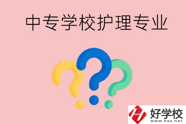 湖南的公辦中專學(xué)校哪些可以學(xué)護(hù)理專業(yè)？