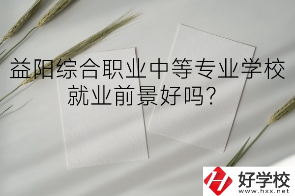 益陽(yáng)綜合職業(yè)中等專業(yè)學(xué)校如何？就業(yè)前景好嗎？