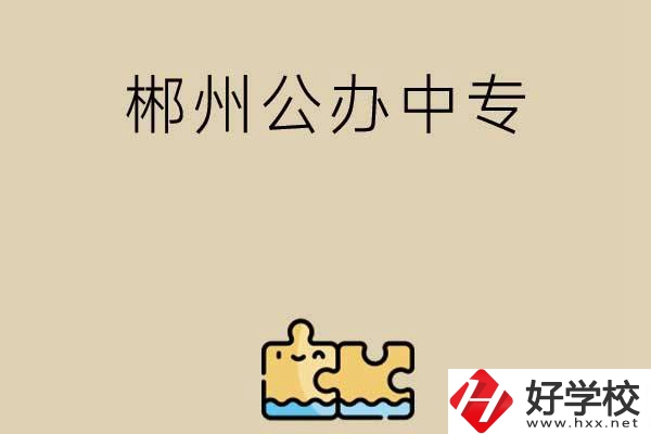 郴州公辦中專有哪些開設(shè)了電子商務(wù)專業(yè)？