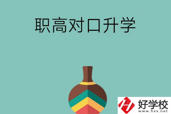 湖南職高對(duì)口升學(xué)可以考哪些大專？