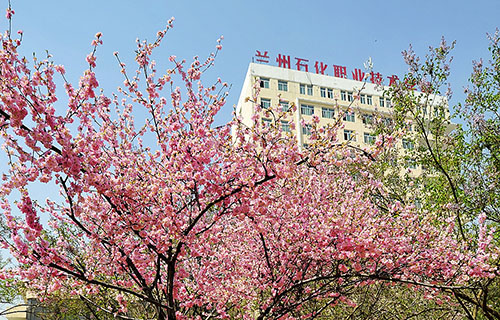 蘭州石化職業(yè)技術(shù)學(xué)院