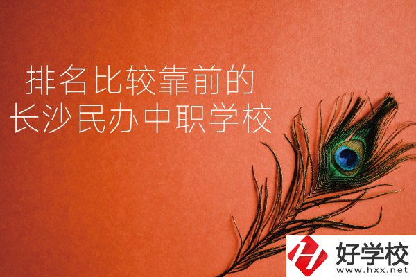 長沙哪些民辦中職學(xué)校排名比較靠前？