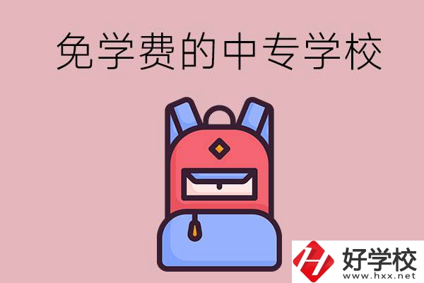 郴州市的中專哪些是免學(xué)費(fèi)的？