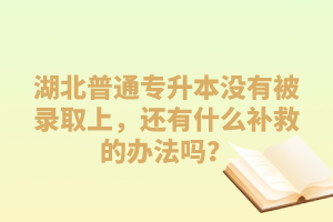 湖北普通專升本沒有被錄取上，還有什么補(bǔ)救的辦法嗎？