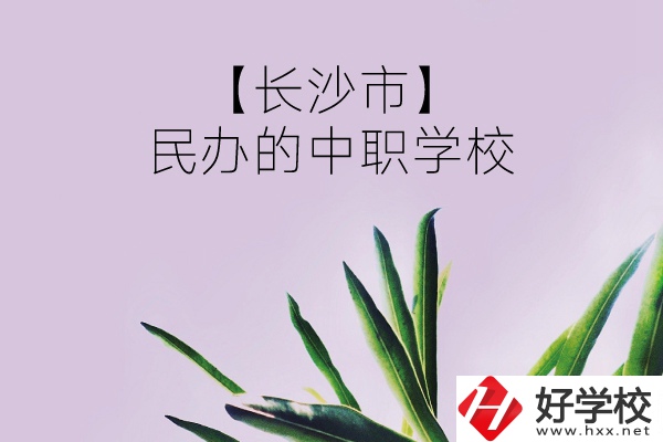 長(zhǎng)沙市有哪些民辦的中職學(xué)校？