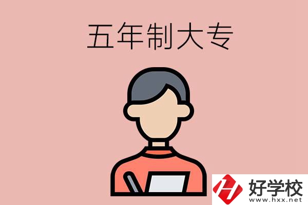 長(zhǎng)沙比較容易進(jìn)的五年制大專有哪些？