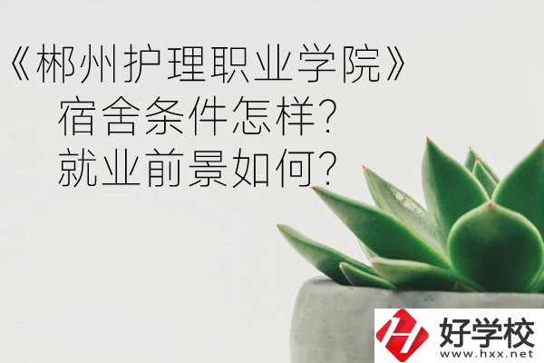 郴州護(hù)理職業(yè)學(xué)院宿舍條件怎樣？就業(yè)前景如何？