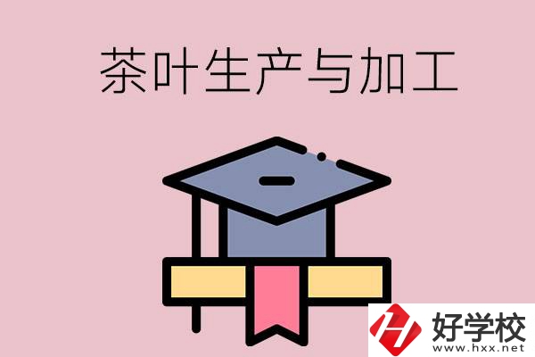 湖南哪些技校開設(shè)了茶葉生產(chǎn)與加工專業(yè)？