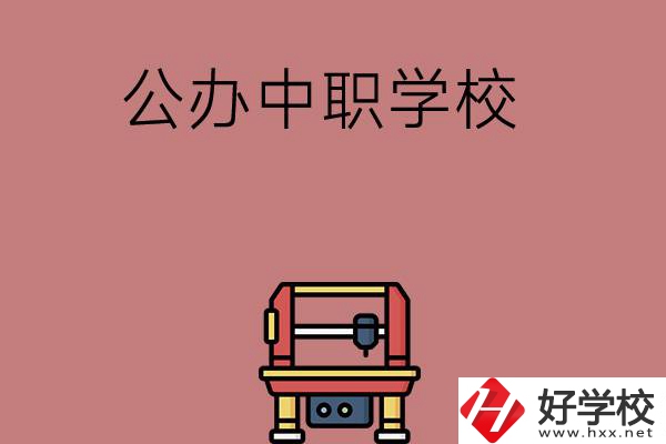 長沙可以學(xué)計(jì)算機(jī)應(yīng)用專業(yè)的公辦中職學(xué)校有哪些？