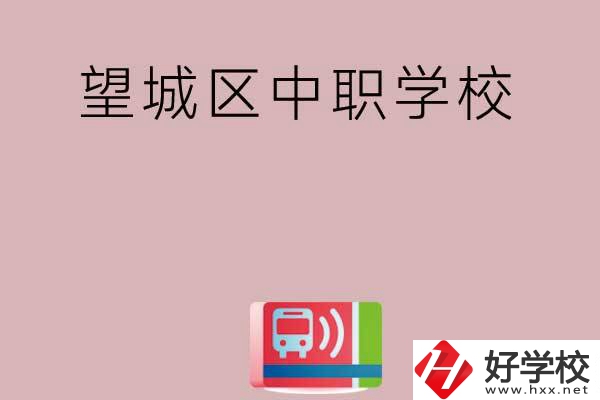 長(zhǎng)沙望城區(qū)哪些中職學(xué)校？