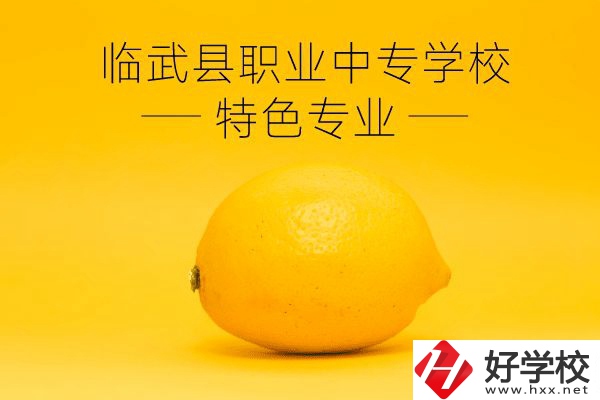 臨武縣職業(yè)中專學(xué)校好嗎？有哪些特色專業(yè)？